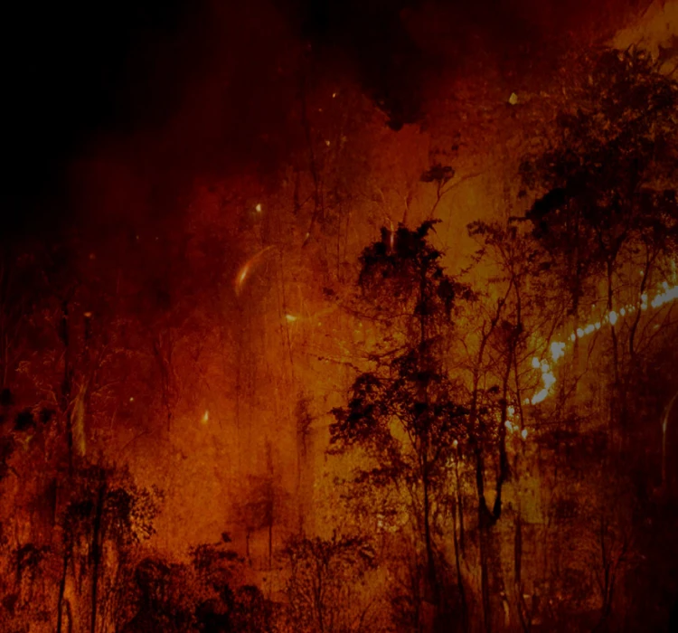 森林防火解决方案